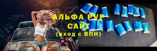 индика Балахна