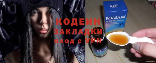 индика Балахна