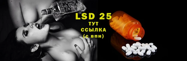 индика Балахна