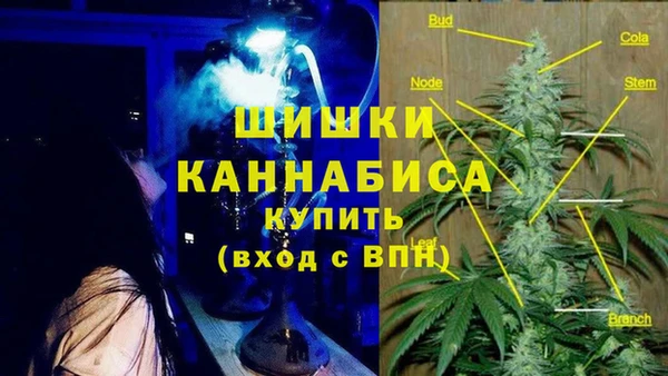 индика Балахна