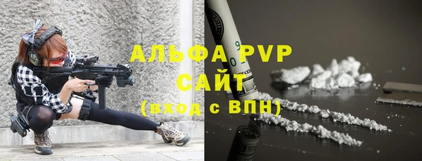 индика Балахна