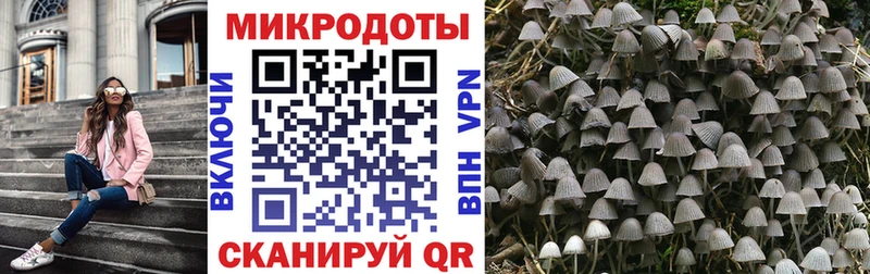 цены наркотик Лабытнанги даркнет Telegram Галлюциногенные грибы Psilocybe omg tor